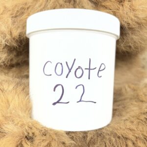 Coyote 22